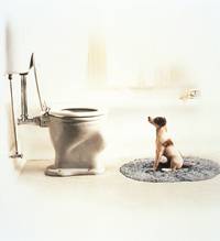 Кадр Мой пёс Скип