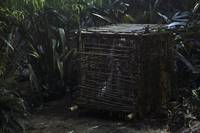 Кадр Однажды в сказке