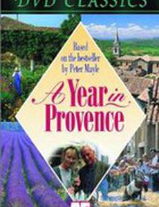 Год в Провансе (мини-сериал)