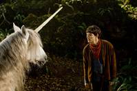 Кадр Мерлин