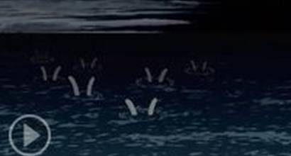 Мультфильм