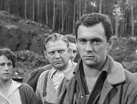 Кадр Колдунья