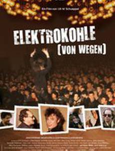 Elektrokohle (Von wegen)