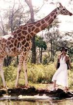 Эрин Уоссон фото