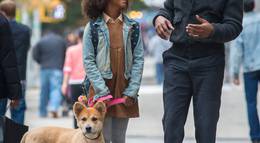 Кадр из фильма "Энни" - 2