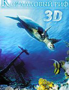 Коралловый риф 3D
