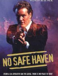 No Safe Haven