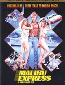 Малибу-экспресс