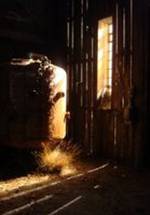 Рэйчел О’Тул фото