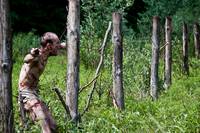 Кадр Открытая могила