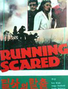 Паническое бегство