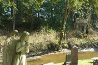 Кадр Дневники вампира