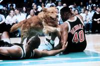 Кадр Король воздуха: Золотая лига