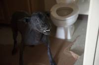 Кадр Слендер