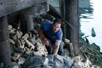 Кадр Стрелок