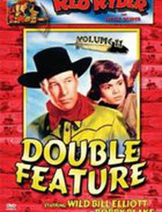 Vigilantes of Dodge City