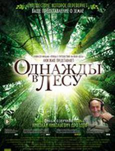Однажды в лесу