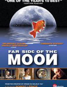 Обратная сторона Луны