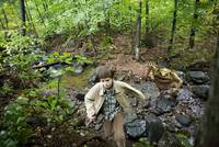 Кадр Спайдервик: Хроники