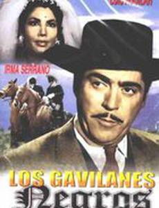 Los gavilanes negros