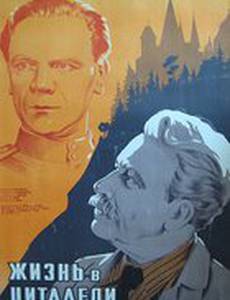 Жизнь в цитадели