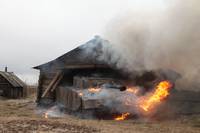 Кадр Белый тигр