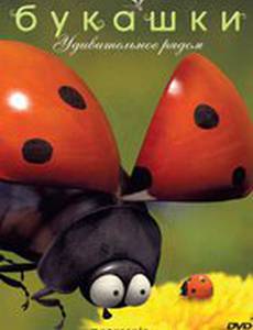 Букашки