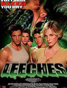 Пиявки (видео)