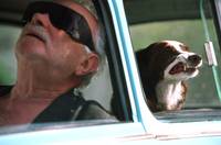 Кадр Свет вокруг