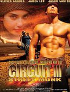 Вихрь 3 (видео)