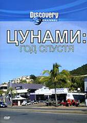 Цунами: Год спустя