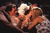 Кадр Как отделаться от парня за 10 дней