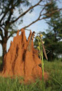 Кадр Осажденная крепость