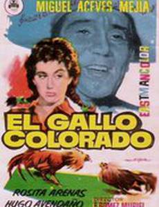 El gallo colorado