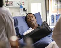 Кадр Анатомия страсти