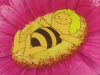 Кадр Пчелка Майя