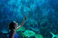 Кадр Рай океана