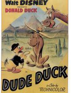 Dude Duck