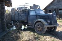 Кадр Белый тигр