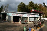 Кадр Красные муравьи