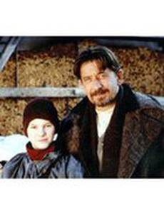 Les hirondelles d'hiver