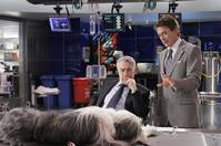 Кадр Лохматый папа