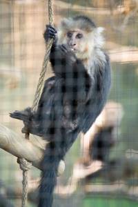 Кадр Мы купили зоопарк