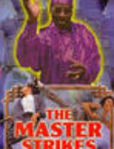 Мастер наносит удар