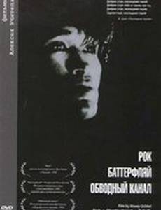 Обводный канал