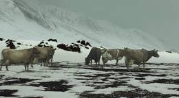 Кадр из фильма "Металлистка" - 2