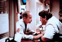 Кадр Скачи во весь опор!