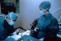 Кадр Сотворивший красоток