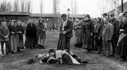 Кадр из фильма "Товарищи" - 1