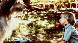 Кадр из фильма "Дэннис-мучитель" - 1